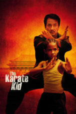 The Karate Kid (2010) BluRay 480p & 720p Movie Download