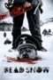 Dead Snow (2009) BluRay 480p & 720p Movie Download and Watch