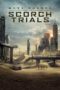 Maze Runner: The Scorch Trials (2015) BluRay 480p & 720p Download