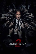 John Wick: Chapter 2 (2017) BluRay 480p & 720p HD Movie Download