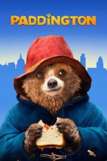 Paddington (2014) BluRay 480p & 720p Full HD Movie Download