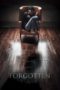 Forgotten (2017) BluRay 480p & 720p Full HD Movie Download