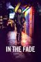 In the Fade 2017 BluRay 480p & 720p Full HD Movie Download