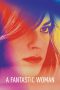 A Fantastic Woman (2017) BluRay 720p & 1080p Movie Download