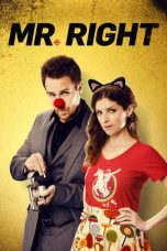 Mr. Right (2015) BluRay 480p & 720p HD Movie Download