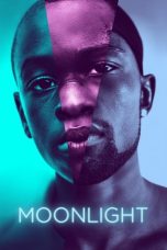 Moonlight (2016) BluRay 480p & 720p Movie Download Watch Online