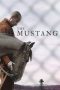 The Mustang (2019) BluRay 480p & 720p Free HD Movie Download