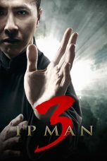 Ip Man 3 (2015) BluRay 480p & 720p Free HD Movie Download