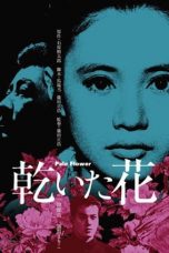 Pale Flower (1964) BluRay 480p & 720p Free HD Movie Download