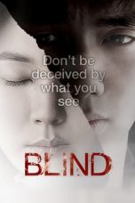 Blind (2011) BluRay 480p & 720p Free HD Korean Movie Download