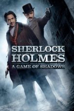 Sherlock Holmes: A Game of Shadows (2011) BluRay 480p & 720p Movie Download