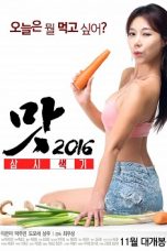 Three Sexy Meals (2016) HDRip 480p & 720p Korean Movie Download