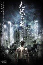 The Invincible Dragon (2019) BluRay 480p & 720p HD Movie Download