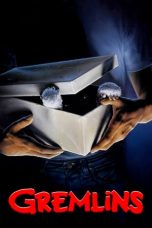 Gremlins (1984) BluRay 480p & 720p Free HD Movie Download