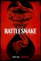 Rattlesnake (2019) WEB-DL 480p & 720p Netflix HD Movie Download