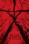 Blair Witch (2016) BluRay 480p & 720p Free HD Movie Download