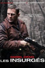 Defiance (2008) BluRay 480p & 720p Movie Download English Subtitle