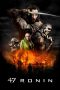 47 Ronin (2013) BluRay 480p & 720p Free HD Movie Download