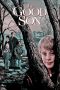 The Good Son (1993) BluRay 480p & 720p Free HD Movie Download