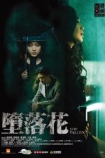 The Fallen (2019) BluRay 480p | 720p | 1080p Movie Download