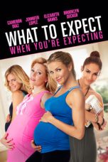 What to Expect When You’re Expecting (2012) BluRay 480p | 720p | 1080p