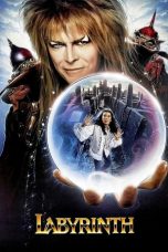 Labyrinth (1986) BluRay 480p, 720p & 1080p Movie Download