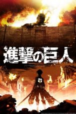 Attack on Titan Season 1-4 BluRay x264 720p Mkvking - Mkvking.com