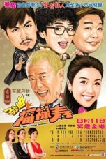 The Fortune Buddies (2011) BluRay 480p, 720p & 1080p Mkvking - Mkvking.com