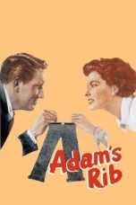 Adam's Rib (1949) WEBRip 480p, 720p & 1080p Mkvking - Mkvking.com