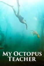 My Octopus Teacher (2020) WEBRip 480p, 720p & 1080p Mkvking - Mkvking.com