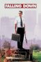 Falling Down (1993) BluRay 480p, 720p & 1080p Mkvking - Mkvking.com