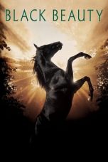 Black Beauty (1994) BluRay 480p & 720p Mkvking - Mkvking.com