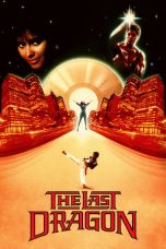 The Last Dragon (1985) BluRay 480p, 720p & 1080p Mkvking - Mkvking.com