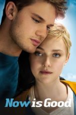 Now Is Good (2012) BluRay 480p & 720p Mkvking - Mkvking.com