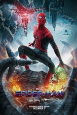 Spider-Man: No Way Home (2021) BluRay 480p, 720p & 1080p Mkvking - Mkvking.com