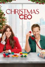 Christmas CEO (2021) WEBRip 480p, 720p & 1080p Mkvking - Mkvking.com