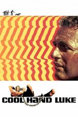 Cool Hand Luke (1967) BluRay 480p, 720p & 1080p Mkvking - Mkvking.com