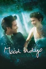 Mood Indigo (2013) BluRay 480p, 720p & 1080p Mkvking - Mkvking.com