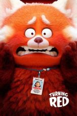 Turning Red (2022) BluRay 480p, 720p & 1080p Mkvking - Mkvking.com