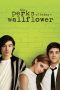 The Perks of Being a Wallflower (2012) BluRay 480p, 720p & 1080p Mkvking - Mkvking.com