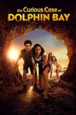 The Curious Case of Dolphin Bay (2022) WEBRip 480p, 720p & 1080p Mkvking - Mkvking.com