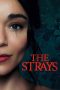 The Strays (2023) WEB-DL 480p, 720p & 1080p Full HD Movie Download