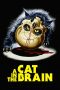 A Cat in the Brain (1990) BluRay 480p, 720p & 1080p Full Movie